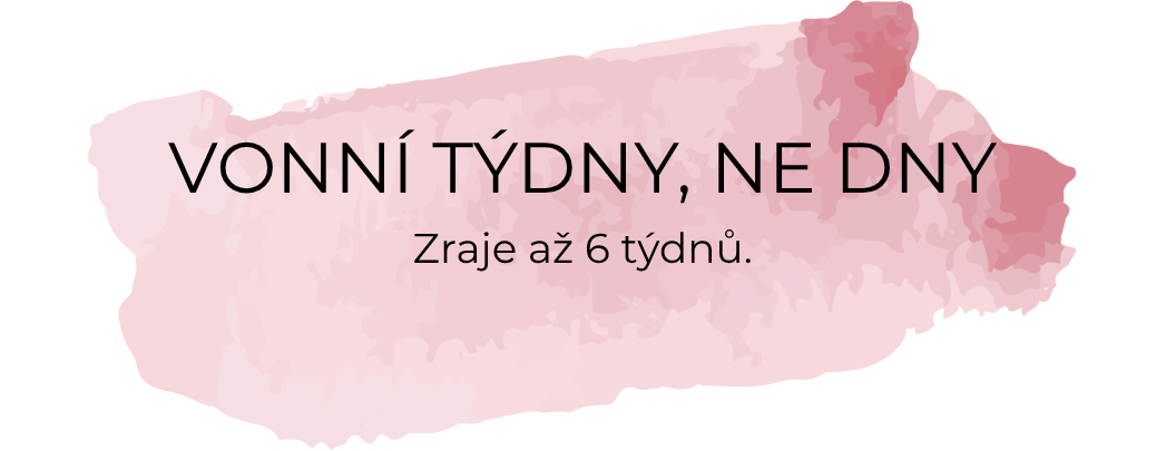 COZY  KONKURENČNÍ VÝHODY (1)